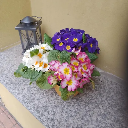 德尔非欧姆酒店 酒店 坎诺比奥