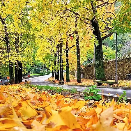 Del Fiume Hotell 3*