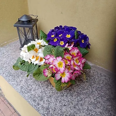 Del Fiume Hotel Cannobio